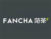 fancha范茶